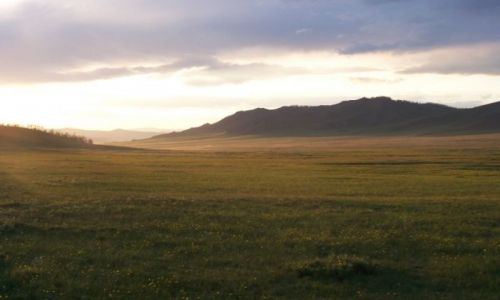 Zdjecie MONGOLIA / - / Mongolia / Step