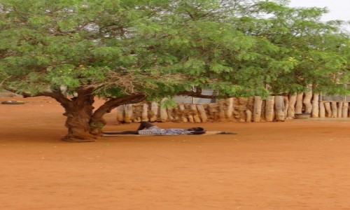 Zdjecie MOZAMBIK / Po. - wschodni Mozambik  / Gdzie po drodze  / African life