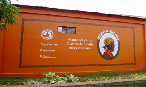 Zdjecie MOZAMBIK / Po. - wschodni Mozambik  / Miasteczko Inhambane / adna reklama ryu