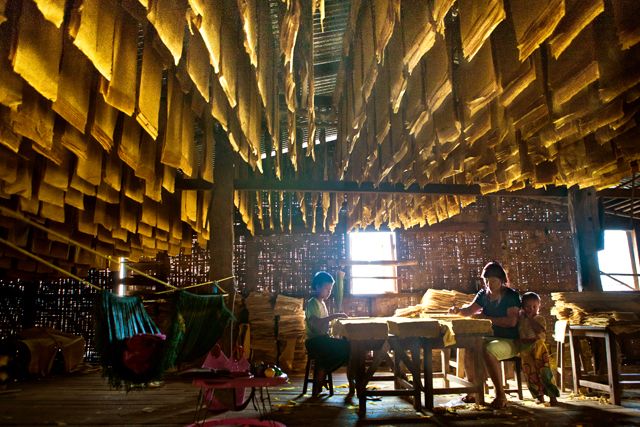Zdjęcia: Kyaukme, Birma (Myanmar), Rodzinny interes, MYANMAR Zdjęcia: Kyaukme, Birma (Myanmar), Rodzinny interes, MYANMAR