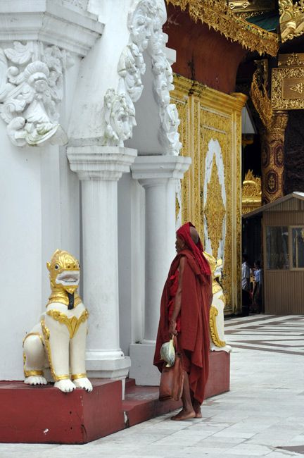 Zdjęcia: Yangon (Rangun), Mnich na terenie Shwedagon Paya, MYANMAR Zdjęcia: Yangon (Rangun), Mnich na terenie Shwedagon Paya, MYANMAR