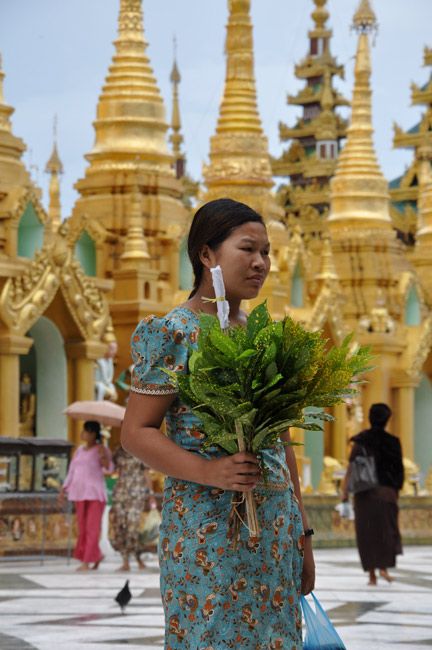 Zdjęcia: Yangon (Rangun), Birmanka z kwiatami w Shwedagon Paya, MYANMAR Zdjęcia: Yangon (Rangun), Birmanka z kwiatami w Shwedagon Paya, MYANMAR