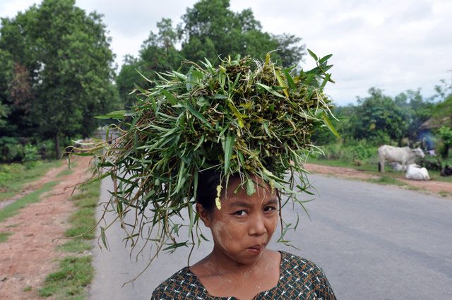 Zdjęcia: między Yangonem a Bago, Birmanka rzujaca betel.. , MYANMAR Zdjęcia: między Yangonem a Bago, Birmanka rzujaca betel.. , MYANMAR