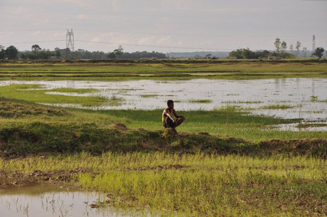 Zdjęcia: między Yangonem a Bago, Codzienne życie.. , MYANMAR Zdjęcia: między Yangonem a Bago, Codzienne życie.. , MYANMAR
