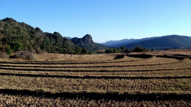 Zdjęcia: gdzieś pomiędzy Kalaw a Nyaungshwe, Okolice jeziora Inle, ... tarasy ..., MYANMAR Zdjęcia: gdzieś pomiędzy Kalaw a Nyaungshwe, Okolice jeziora Inle, ... tarasy ..., MYANMAR