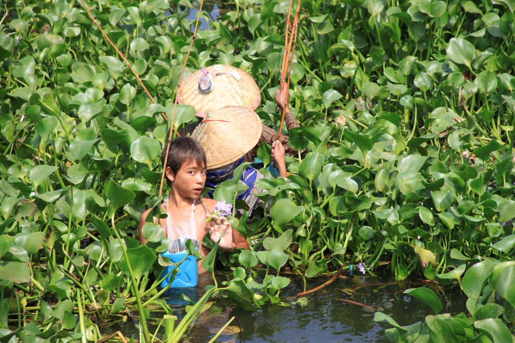 Zdjęcia: Myanmar, konkurs, MYANMAR Zdjęcia: Myanmar, konkurs, MYANMAR