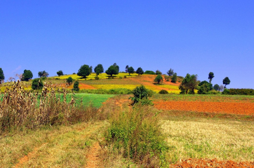 Zdjęcia: Okolice Kalaw, Shan, Kolory Myanmaru, MYANMAR Zdjęcia: Okolice Kalaw, Shan, Kolory Myanmaru, MYANMAR
