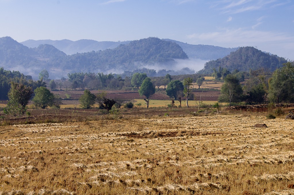 Zdjęcia: okolice jeziora Inle, okolice jeziora Inle, Mgły? się ścielą, MYANMAR Zdjęcia: okolice jeziora Inle, okolice jeziora Inle, Mgły? się ścielą, MYANMAR
