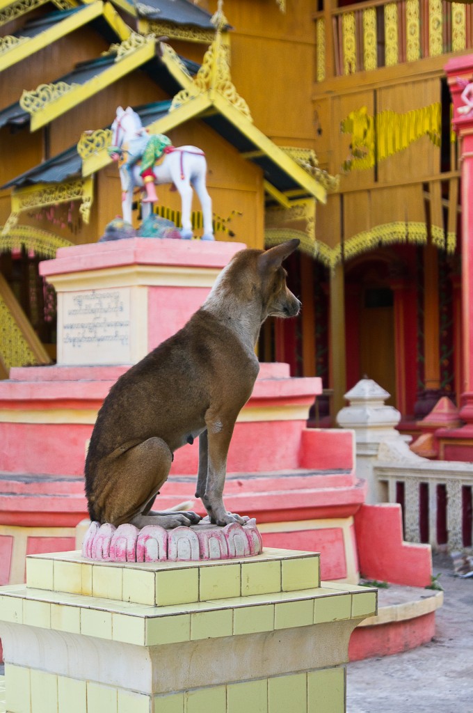 Zdjęcia: Monywa, Monywa, :-))), MYANMAR Zdjęcia: Monywa, Monywa, :-))), MYANMAR