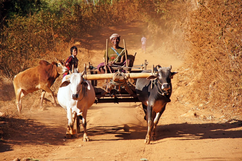 Zdjęcia: Myanmar, Myanmar, Powrót do domu, MYANMAR Zdjęcia: Myanmar, Myanmar, Powrót do domu, MYANMAR