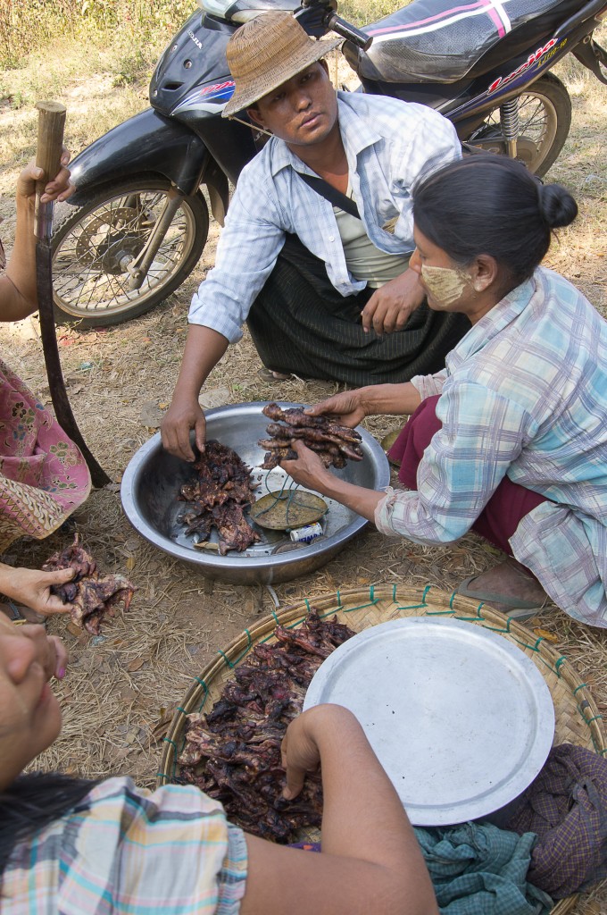 Zdjęcia: przy drodze, Monywa district, Pieczone szczury na kolację, MYANMAR Zdjęcia: przy drodze, Monywa district, Pieczone szczury na kolację, MYANMAR
