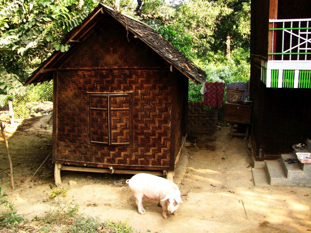 Zdjęcia: gdzieś po drodze, trasa Mandalay - Nyaungshwe, zamiast pieska, MYANMAR Zdjęcia: gdzieś po drodze, trasa Mandalay - Nyaungshwe, zamiast pieska, MYANMAR