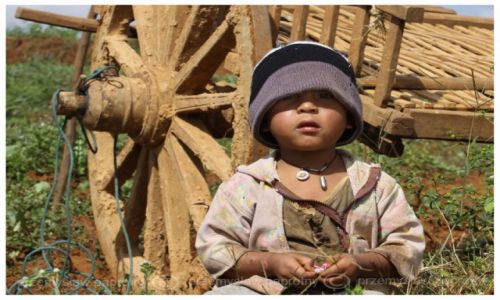 Zdjecie MYANMAR / Taungyy / pole / Dzieciaczek