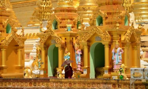 Zdjcie MYANMAR / Yangon / Shwedagon Pagoda / Mnich