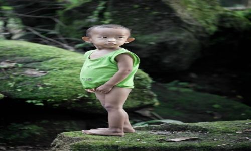 Zdjecie MYANMAR / Mon State / Gdzie w lasach:) / Leny skrzat