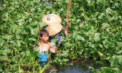 Zdjecie MYANMAR / - / Myanmar / konkurs