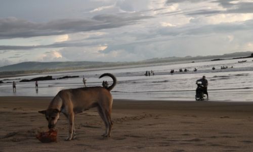 Zdjecie MYANMAR / - / Myanmar / konkurs