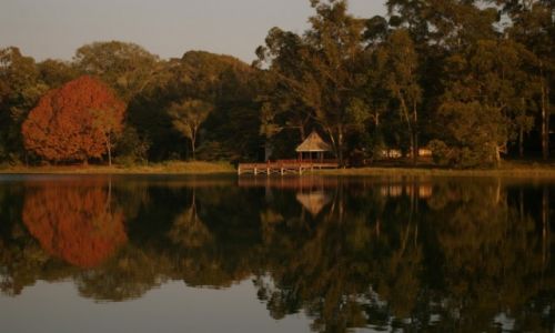 Zdjęcie MYANMAR / Pyin-oo-Lwin / Pyin-oo-Lwin / Ogród