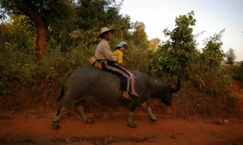 Zdjecie MYANMAR / Shan State / gdzie midzy Kyaukme, a Hsipaw / Powrt do domu