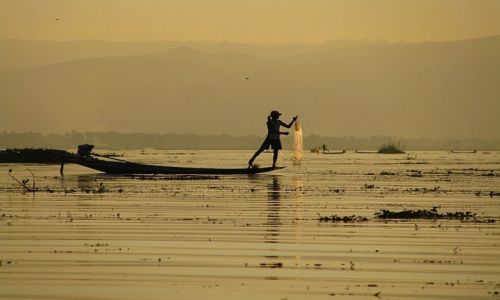 Zdjecie MYANMAR / stan Shan / jezioro Inle / rybacy na jeziorze Inle