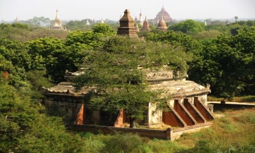 Zdjcie MYANMAR / rodkowa Birma / Stary Bagan / Pagody Baganu