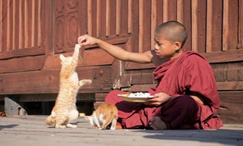 Zdjecie MYANMAR / Szan / okolice jez Inle / Podziel si