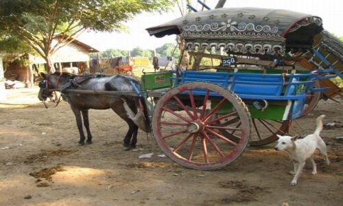 Zdjcie MYANMAR / okolice Mandalay / Inwa / parking w Inwie