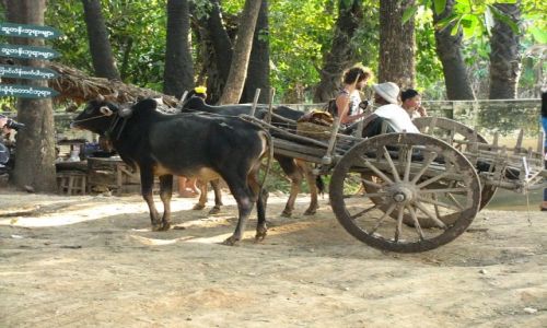 Zdjcie MYANMAR / okolice Mandalay / Inwa / obrazki z Inwy