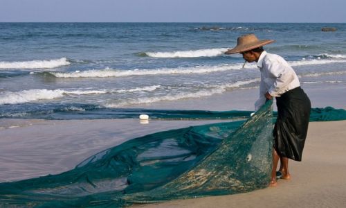 Zdjecie MYANMAR / Ngwe Saung Beach / j.w. / porzdkowanie sieci