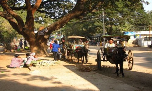 Zdjcie MYANMAR / trasa Nyaungshwe - Nyaung OO / . / wiejskie takswki