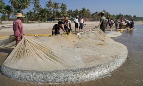 Zdjecie MYANMAR / Ngwe Saung Beach / Ngwe Saung Beach / Wyjmowanie sieci z urobkiem