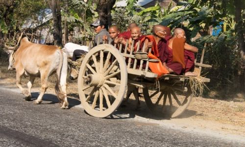 Zdjecie MYANMAR / stan Shan / po drodze / Jedzie wz