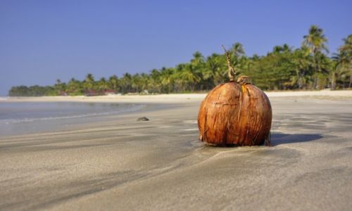 Zdjecie MYANMAR / - / Ngwe Saung / Birmaski raj