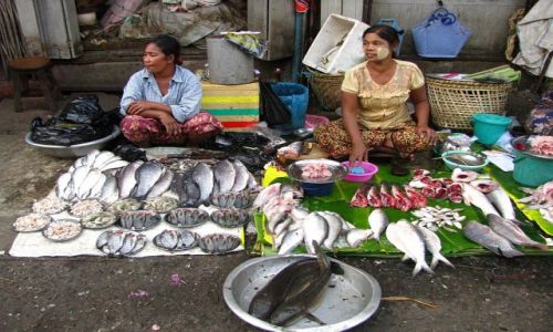 Zdjęcie MYANMAR / Yangon / Yangon / targ miejski