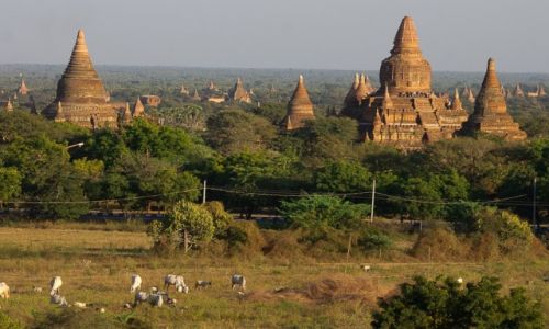 Zdjecie MYANMAR / Bagan / Bagan / Bagan o zachodzie