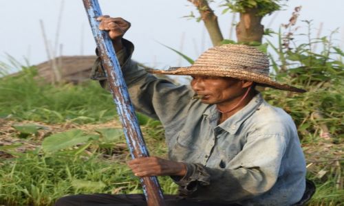 Zdjecie MYANMAR / Inle / Inle Lake / Jednooki