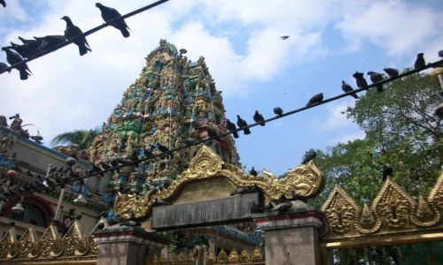 Zdjęcie MYANMAR / ... / ... / Birma