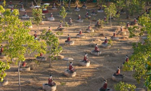 Zdjcie MYANMAR / Monywa / Monywa / W ogrodzie przyklasztornym