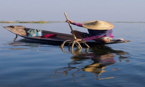 Zdjecie MYANMAR / Inle Lake / Inle Lake / Rybak