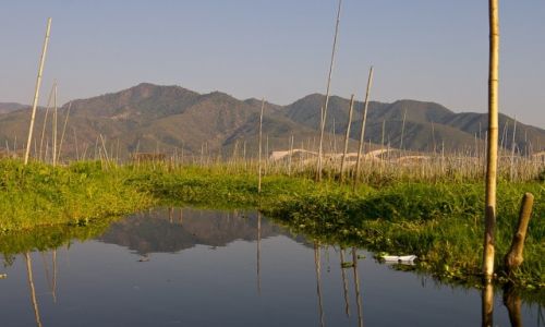Zdjecie MYANMAR / Inle Lake / Inle Lake / Pywajce ogrody