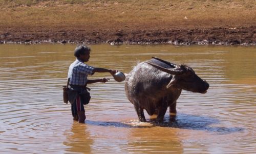 Zdjecie MYANMAR / W drodze do Shwebo / W drodze do Shwebo / Mycie bawou