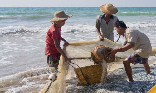 Zdjecie MYANMAR / Ngwe Saung Beach / Ngwe Saung Beach / Co wikszego