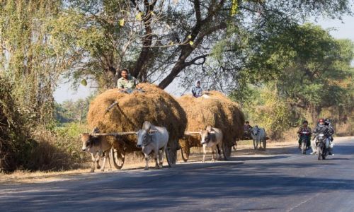 Zdjecie MYANMAR / na wsi / po drodze / Droga