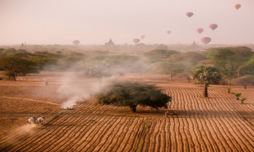 Zdjecie MYANMAR / Bagan / Pagan / zderzenie wiatw