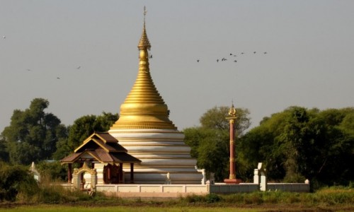 Zdjcie MYANMAR / Mandalaj / Inwa  / Myanmar (Birma) Ibisy nad Bia Pagod