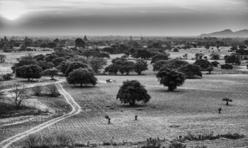 Zdjecie MYANMAR / Bagan / Pagan / zatrzymane w czasie