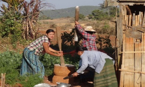 Zdjecie MYANMAR / Shan / treking z Kalaw nad Inle / myn