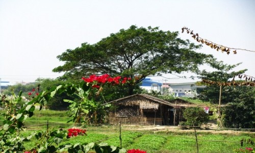 Zdjcie MYANMAR / Yangon / Yangon / przedmiecia Yangonu