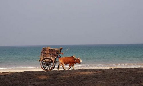 Zdjecie MYANMAR / Pd.Birmy / NGAPALI BEACH / * * *