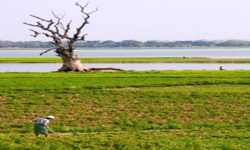 Zdjęcie MYANMAR / Mandalay / Okolice Rzeki IRWADY / * * *